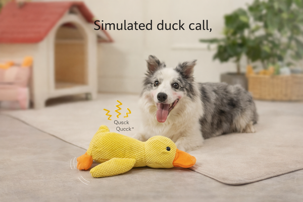 Interactive Duck Dog Toy
