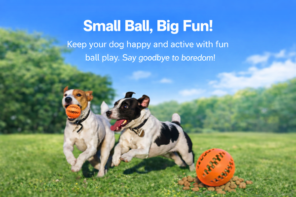 Fun Pet Chew Ball