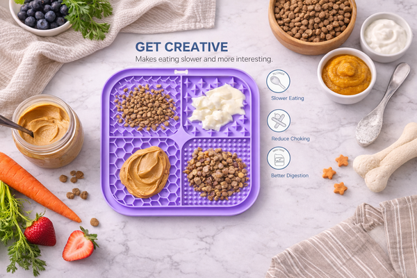 Pet Lick Mat Fun Feeder