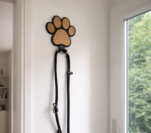 ChatGPT Image Feb 5, 2026, 11_48_18 AM.png